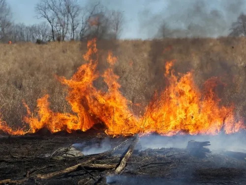 Risque d'incendie : le préfet du Pas-de-Calais renforce les mesures