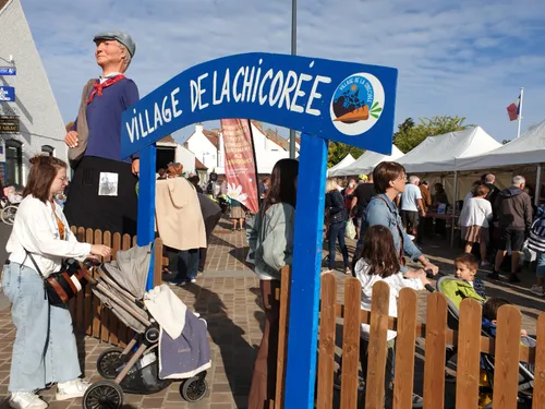 La Fête de la Chicorée de retour dans l'Audomarois