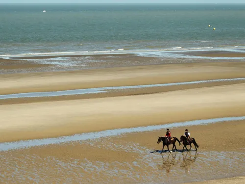 Dans la région, on peut randonner à cheval !