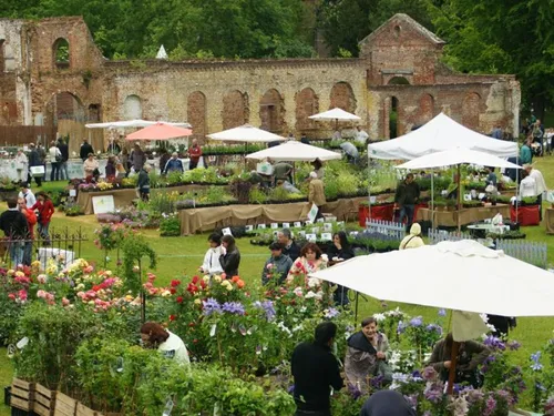 Les idées de sortie du week-end dans la région