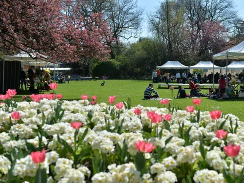 Villes et Villages fleuris : la Ville de Lille obtient une 3ème fleur