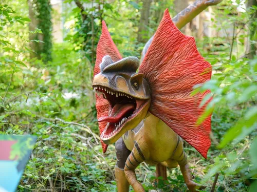 Explorer le monde des dinosaures dans la région ! 