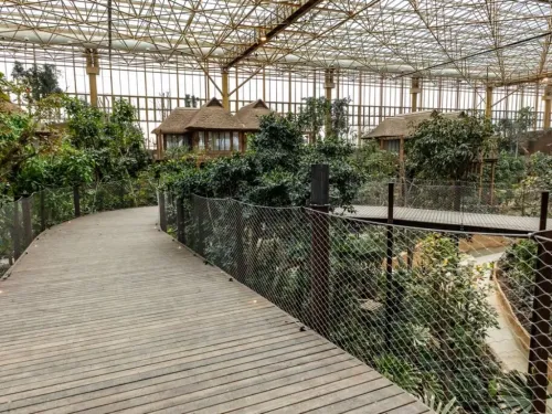 3 records du monde pour Pairi Daiza 
