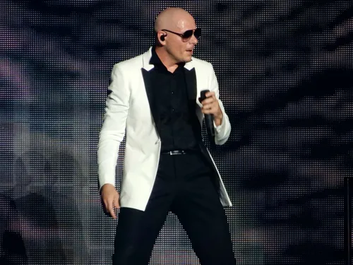 Pitbull entre au Guinness Book des records !