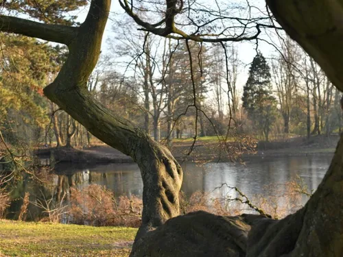 La baignade des chiens interdite à la Citadelle de Lille