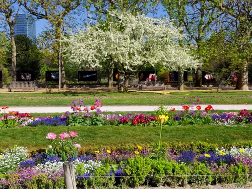 Le Jardin des plantes veut devenir Jardin botanique