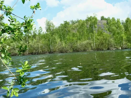Le Parc naturel Scarpe-Escaut consulte ses habitants jusqu’au 3...