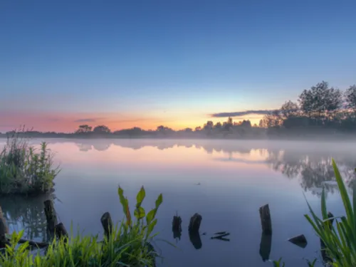 Sortie nature : réouverture de la réserve du Romelaëre !