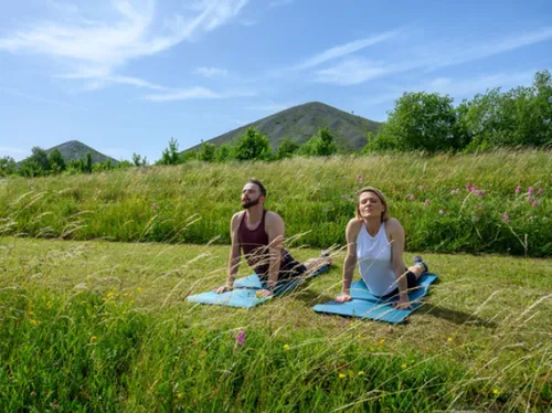 Retour de Terrils thérapie cet été dans le bassin minier
