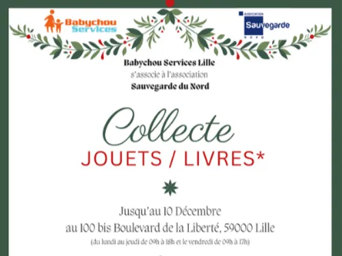 Une collecte de livres et de jouets avec Babychou Services à Lille 
