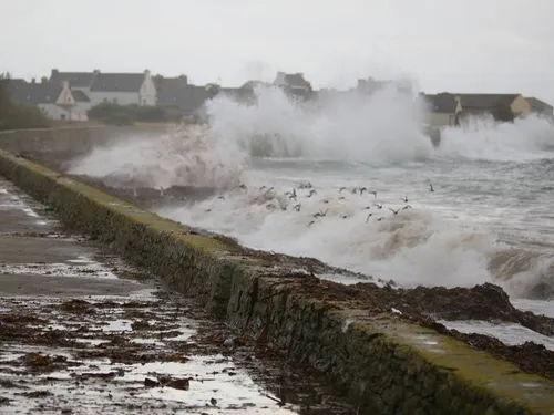 Les perturbations liées à la tempête Goretti dans la région