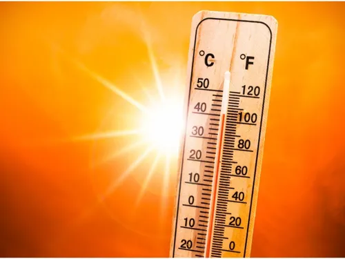 La ville de Lille s'adapte à la canicule 