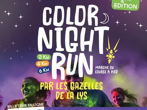 Une Color Night Run à Deûlémont
