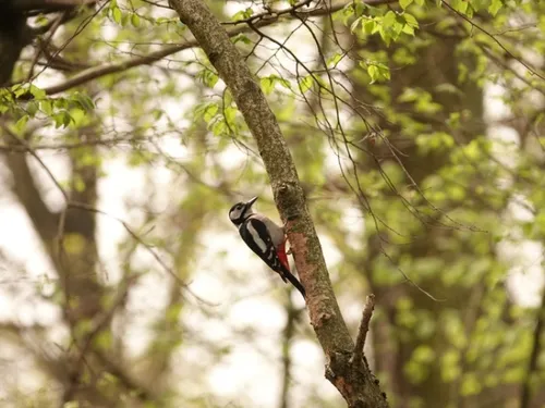 Des balades thématiques et estivales proposées par la MEL