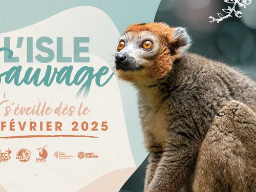 L'isle sauvage rouvre ce samedi à Saint-Quentin 