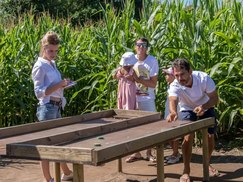 Les Pop Corn Labyrinthe ressortent de terre dans la région