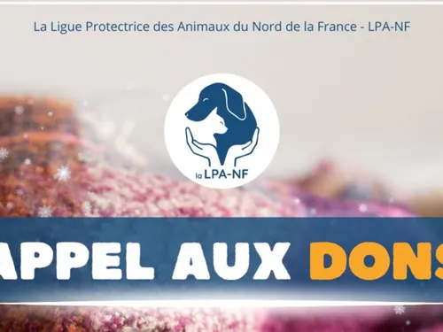 Froid : un appel aux dons pour protéger les animaux de refuges
