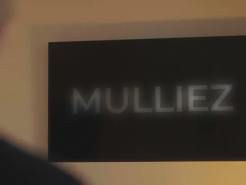 La famille Mulliez au cœur d'une enquête de Cash Investigation 