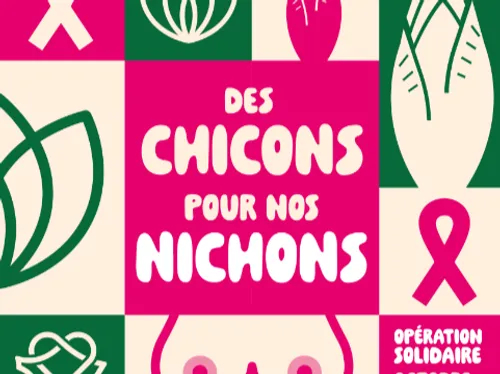 "Des chicons pour nos nichons" à Villeneuve d'Ascq 