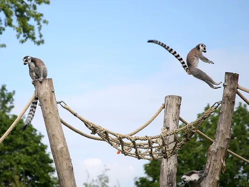Les idées de sorties ce week-end dans la région