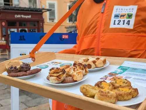 Une chasse aux trésors vegan dans les rues de Lille
