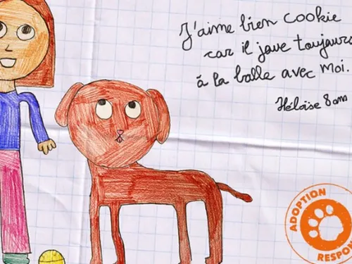 Journées portes ouvertes dans les refuges de la SPA