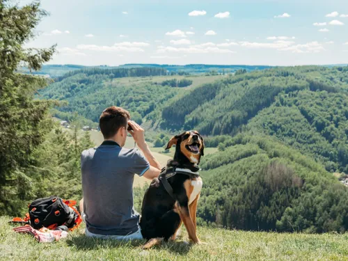 Le "toutourisme" en plein développement en Wallonie