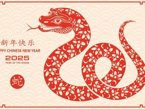 Aujourd'hui on célèbre le nouvel an du calendrier chinois !