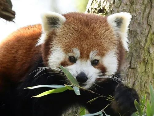 Les idées de sorties ce week-end dans la région