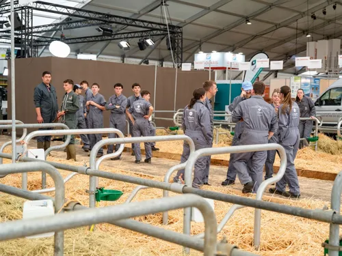 Au Sommet de l'élevage, les jeunes préparent l'avenir