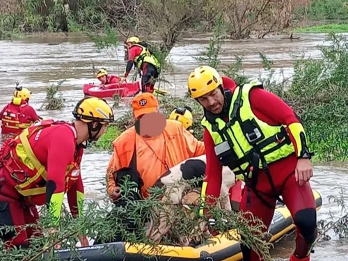 Un chasseur et ses chiens secourus par les pompiers
