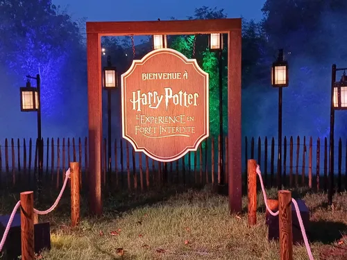 Montauban abandonne l’idée d’un grand festival pour cet hiver