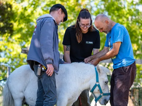 Refuge des 3 Dindes : la médiation animale pour accompagner la...