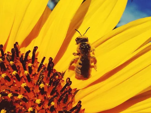 Henri Clément : "On s'est battu pendant 25 ans pour faire interdire...