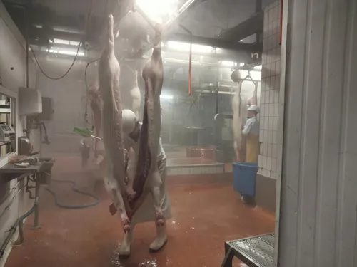 [REPLAY] Les derniers jours de l'abattoir de Montauban