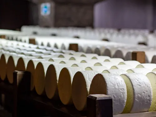 Ça vaut le détour : Le centenaire de l’AOP Roquefort