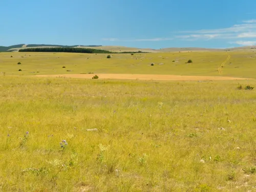 Ça vaut le détour : La Lozère et le cinéma