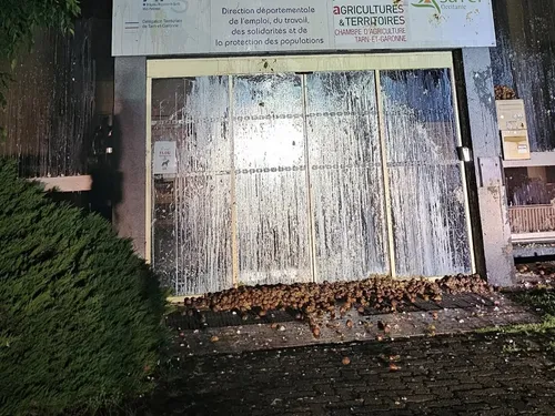 Déversements à la Chambre d’agriculture : la CR82 réclame de la...