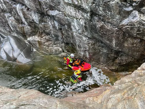 Les pompiers ont sauvé deux chiens en mauvaise posture