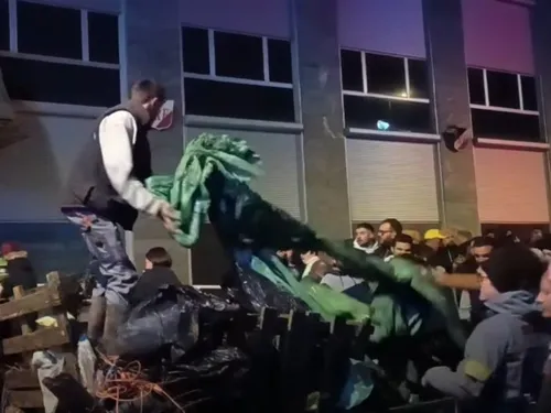 "C'est une catastrophe, un massacre" : colère des éleveurs...