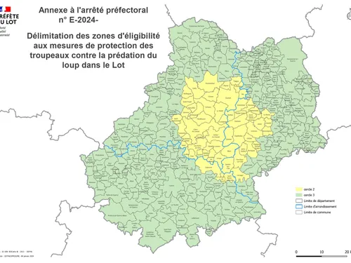 Loup et protection des éleveurs : quel accompagnement selon les...