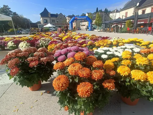 Un drive-chrysanthèmes à Malemort