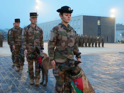 La Brigade Cynophile, une unité à part entière de la 13e Demi...