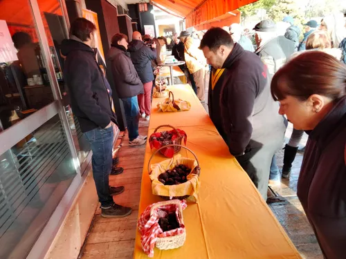 Lalbenque vs L'Hospitalet : la guerre des truffes est déclarée ?