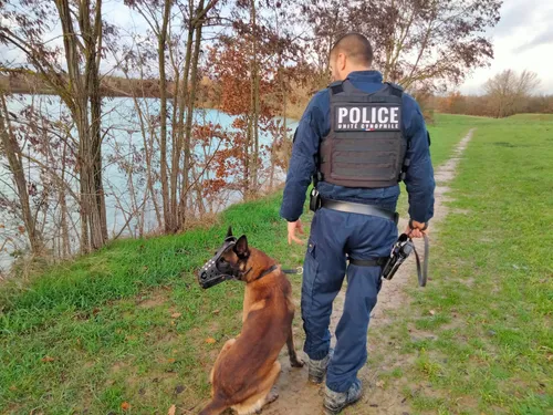 Police de Montauban : les débuts de Rosa à l'unité cynophile