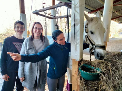 Une maison de retraite pour vieux chevaux près de Montauban