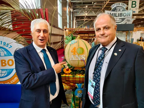 De Moissac à la Guadeloupe : le melon Philibon fête ses 40 ans