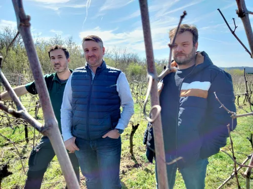 Fonds d'urgence : les vignerons du Lot s'estiment discriminés