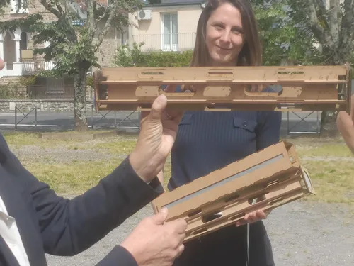 Brive déclare la guerre aux moustiques tigres