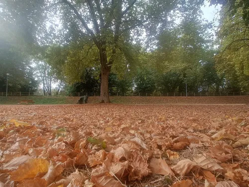 L'automne est-il déjà arrivé en Corrèze ?